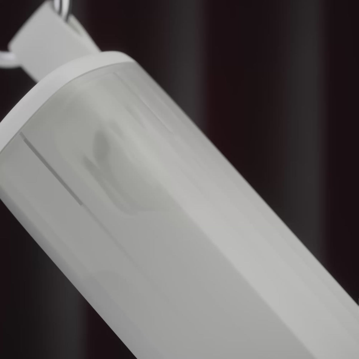 Bone