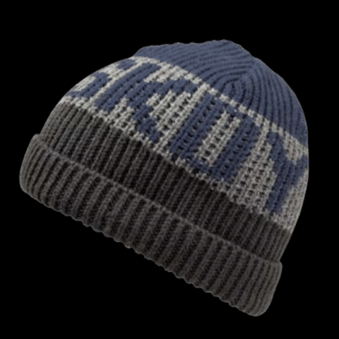 Pitch Beanie